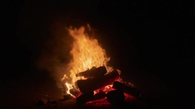 Wood Fire Burning Flames in Dark Night