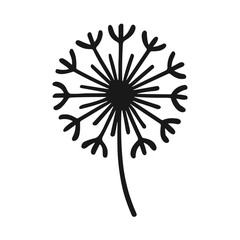 Hand Drawn Dandelion