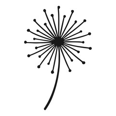 Hand Drawn Dandelion