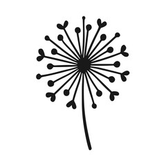 Hand Drawn Dandelion