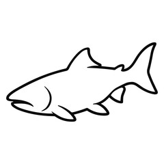 Obraz premium Outline Salmon Fish