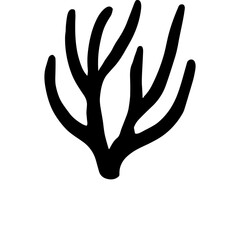 Obraz premium Seaweed Silhouette
