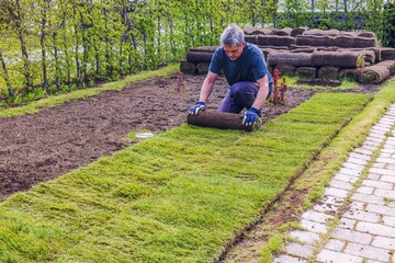 Man rolling out turf grass tightly next to previous strip during lawn installation in spring garden. Sweden.