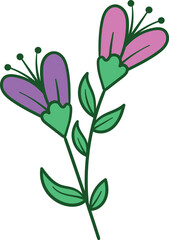 Two purple pink flowers with green stem illustration