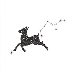 Animal Constellation of Stars Outline