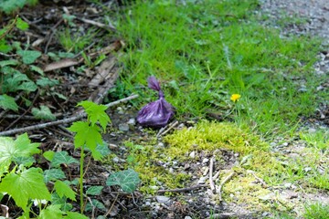 Someone left a trash bag in a path
