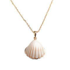 Trendy Minimalist Shell Necklace Featuring a Single Isolated on Transparent Background