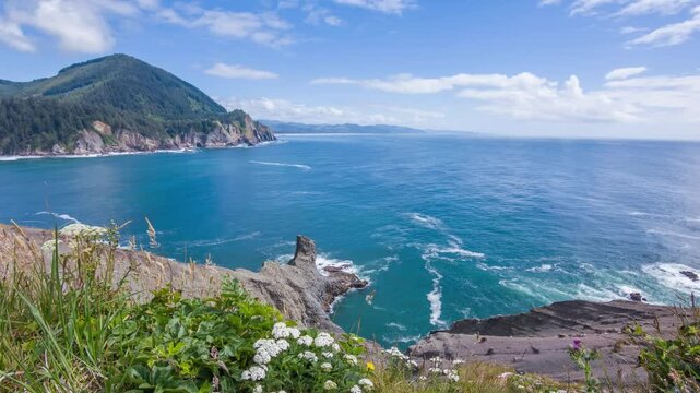 4K footage shows Cape Falcon Trailhead in Oswald West State Park, Oregon, with coastal cliffs, ocean views, marine life, and lush forests along hiking paths.