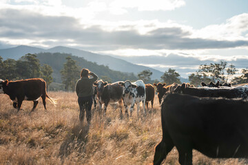 female farmer in a field scientist researcher studying soil and forest health effects from climate change soil sample in hand