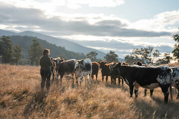 farmer holding soil full of microorganisms. sustainable regenerative agriculture, women in...