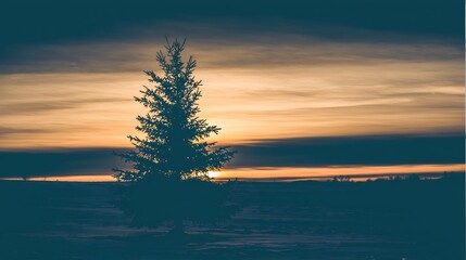 Christmas tree silhouette against sunset snowy background tranquil magical seasonal image stock compliant
