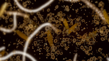 Microscopic view of diverse organic particles