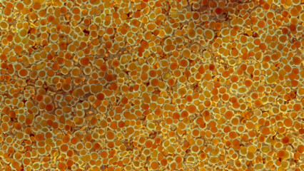 Abstract pattern of orange and gold circles, resembling cells or bubbles