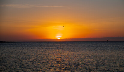 sunrise on the beach