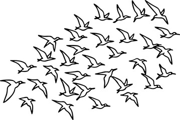 flock of birds in sky outline vector and illustration, coloring book page