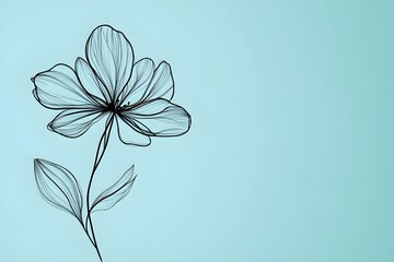 Elegant flowers drawn in black continuous line art, minimalistic composition with smooth curves, centered on plain aqua blue background with wide space