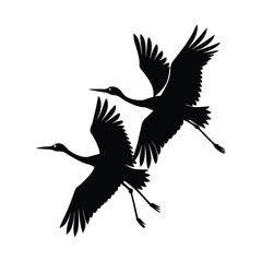 Obraz premium Two elegant crane birds in flight silhouette