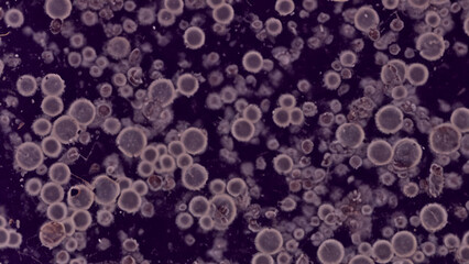 Abstract view of scattered, light-gray, circular shapes on a deep purple background