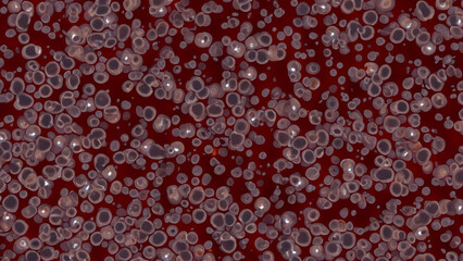 Microscopic view of cells in a viscous medium