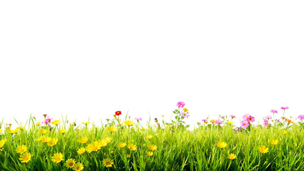 Border of green grass and flowers. White space for your text.