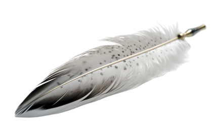 quill transparent background png