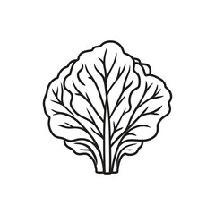 Minimalist line drawing highlights the fresh bok choy vegetable with detailed leaves, isolated on a white backdrop