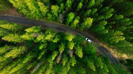 Aerial view of dark green forest road and white electric car Natural landscape and elevated roads Adventure travel and transportation and environmental protection concept	
