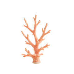 Obraz premium Elegant coral branch casting delicate shadows, a marine treasure, a tranquil underwater scene, isolated against a deep void, showcasing ocean's beauty