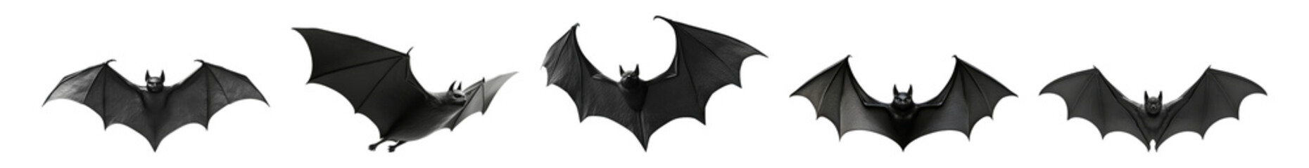 Five Different Bat Wings Displayed in Varying Angles and Poses, Isolated on Transparent, white background