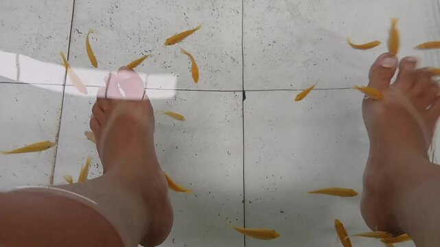 Fish therapy or ichthyotherapy or fish pedicure, is a skin treatment that uses small fish, such as Garra rufa fish, to eat dead skin cells on the feet.