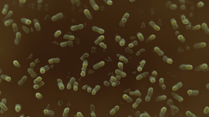 Microscopic view of bacteria (72)