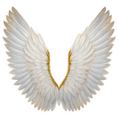 Fototapeta premium White Angel Wings. PNG.
