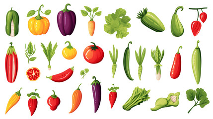July Seasonal Vegetable Set for Culinary Professionals and Food Enthusiasts