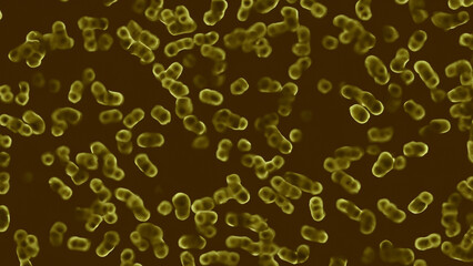 Microscopic view of bacteria (93)