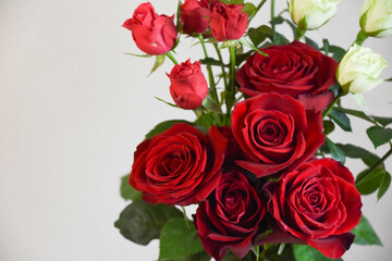 Obraz premium 緑と赤のばら