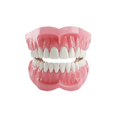 Healthy human teeth model perfect smile dental care illustration 3d gum on transparent background