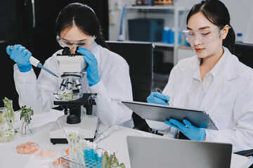 Chemical Laboratory of the Food supply . Food in laboratory, dna modify .GMO Genetically modified...