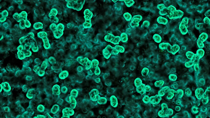 Abstract microscopic image of vibrant teal-colored cells or bacteria, with a dark background