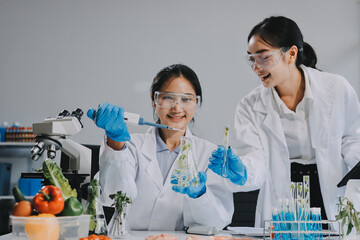 Chemical Laboratory of the Food supply . Food in laboratory, dna modify .GMO Genetically modified...