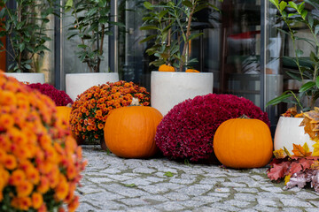 Halloween decorated outdoor cafe or restaurant terrace in America or Europe with pumpkins...