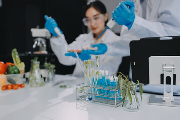 Chemical Laboratory of the Food supply . Food in laboratory, dna modify .GMO Genetically modified...