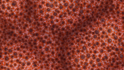 Microscopic view of cells, displaying a densely packed network of reddish-brown, round structures, resembling a complex biological tissue