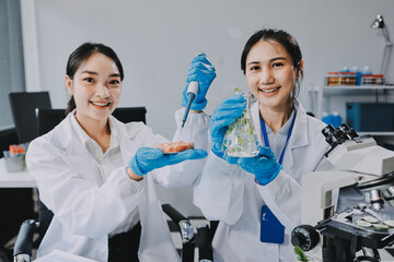 Chemical Laboratory of the Food supply . Food in laboratory, dna modify .GMO Genetically modified...