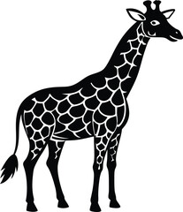 Naklejka premium This is a vector illustration of a tall, spotted giraffe, a wild mammal with a long neck, standing isolated on a white background, often associated with safari and zoo wildlife