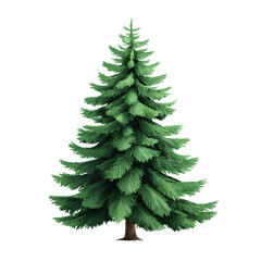 Fototapeta premium Evergreen Elegance: A majestic evergreen tree stands tall against a white background, its lush, deep green needles creating a striking silhouette. This image is ideal for holiday decor.