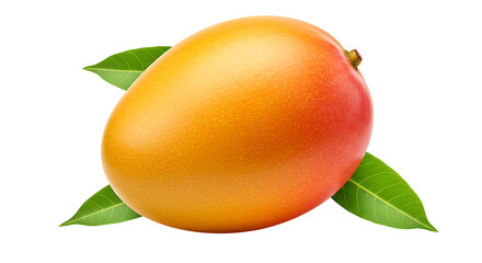 mango without background png