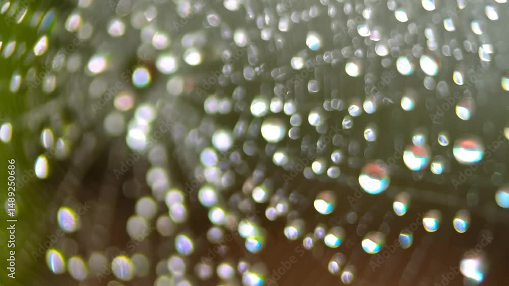 Poster close up view of a spider web with dew drops glistening against a blurred green background, creating