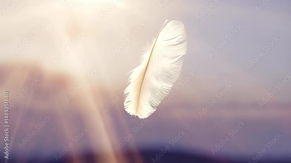 Poster delicate white feather floating gently in the air with a soft, pastel background illuminated by a di