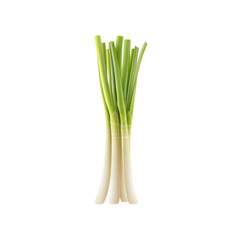 Fresh Bunch of Green Onions Isolated on Black Background