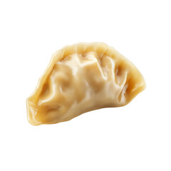 Single Steamed Dumpling Isolated on Black Background